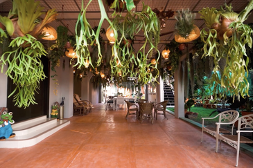 Five Luxurious Adjoining Bungalows in Prime George Town.