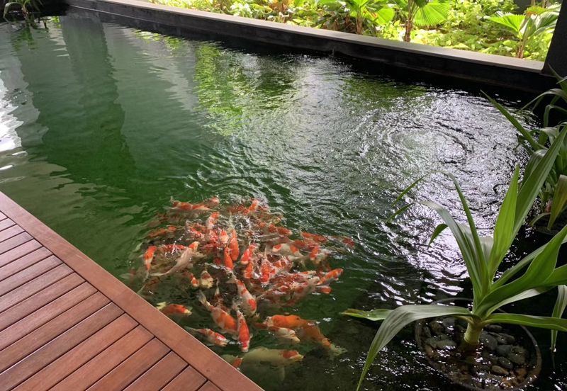 Star Residences Two KL City