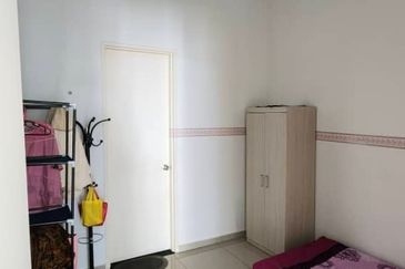 The Rainforest @ Eco Tropics