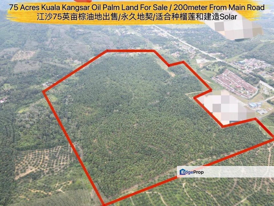 75 Acres Kuala Kangsar Oil Palm Agriculture Land For Sale for Sale RM9