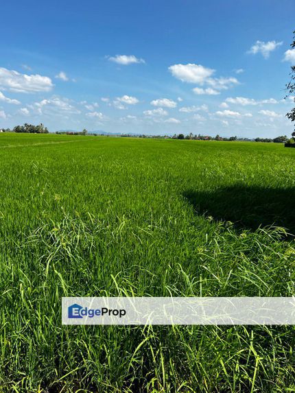 Tanah Bendang Kampung Atas Bintang Perlis, Perlis, Simpang Ampat