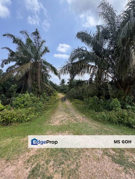 Hulu Sungai Sanglang, Mukim Bukit Batu, Kulaijaya, Johor, Kulai
