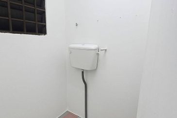 Taman Utama, Pekan Nanas