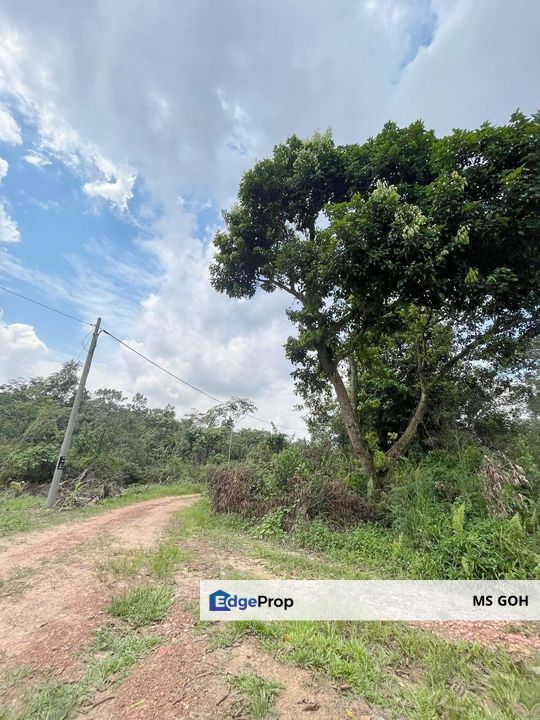 Mukim Jelutong, Kampung Pulai, Gelang Patah, Johor, Gelang Patah