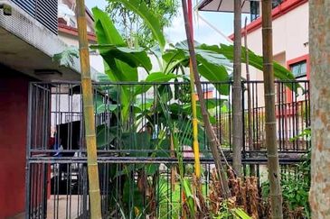 Bukit Pantai (Pantai Hill)