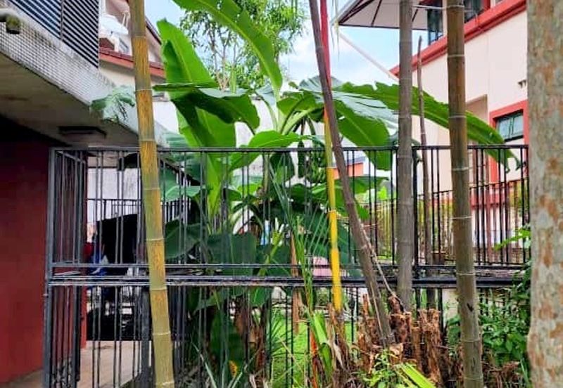 Bukit Pantai (Pantai Hill)