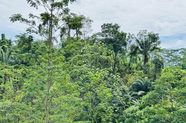 Bangsar South 32,278sf Convertible to Commercial Land for Sale