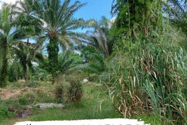Taman Lima Kongsi