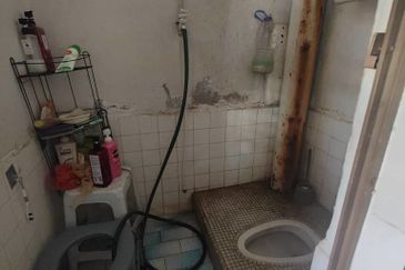 Pangsa Bunga Tanjung