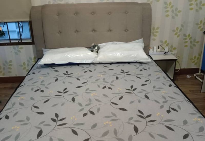 Prima U1 Condominium