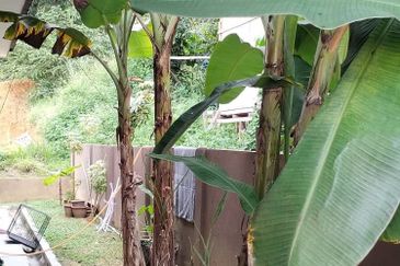 Bandar Baru Salak Tinggi