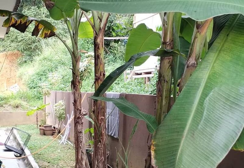 Bandar Baru Salak Tinggi