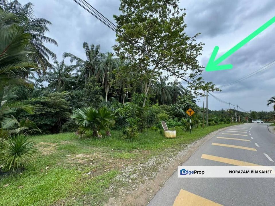 JALAN KEMPAS BUKIT KAPAR MERU KLANG SELANGOR TANAH PERTANIAN FOR SALE , Selangor, Klang