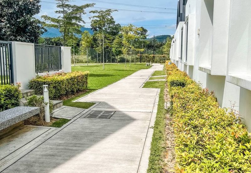 Ebonylane @ Eco Forest