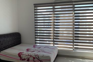 Elmeri (Dillenia Series), Setia Alam