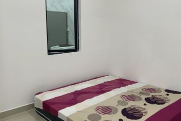 Elmeri (Dillenia Series), Setia Alam