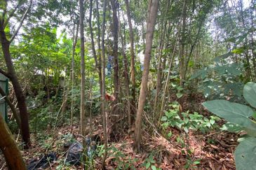 Arab Malaysian Industrial Park