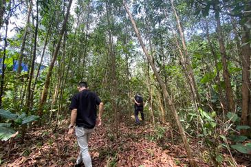 Arab Malaysian Industrial Park