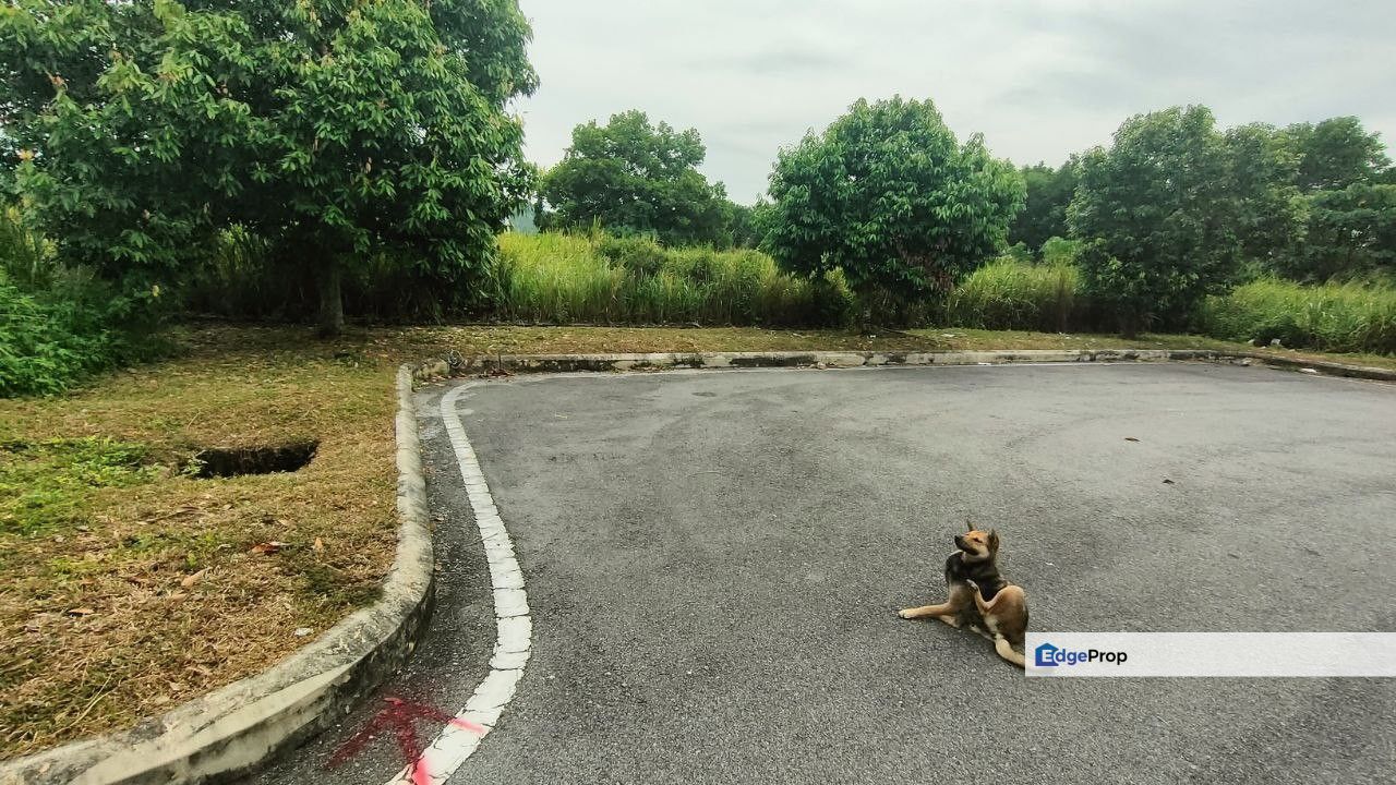 Freehold Heavy Industrial Land Sendayan | Flat Land | Near MNC Factories | RM75/sqft, Negeri Sembilan, Seremban