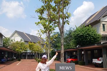 The Mews @ The Glades