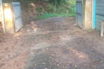 Hot Bentong Raub Durian Orchard