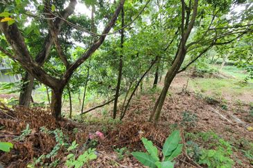 Country Heights Bungalow Land for Sale