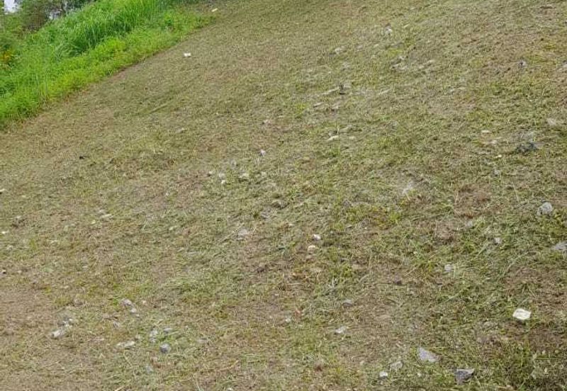 Kingsley Hills @ Putra Heights