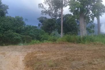 Land for Sale at Janda Baik