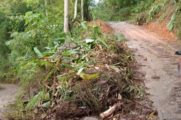 Land for Sale at Janda Baik