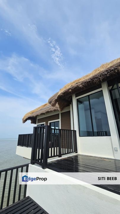  Golden Palm Tree Sepang Villa-Royale Palm for Sale, Selangor, Sungai Pelek