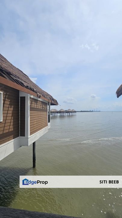 Golden Palm Tree Sepang Villa-Royale Palm for Sale, Selangor, Sungai Pelek