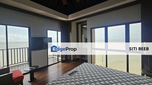  Golden Palm Tree Sepang Villa-Royale Palm for Sale, Selangor, Sungai Pelek