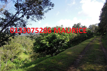 Bungalow with 48 acre land ,One-of-a-Kind Limited Edition: A Remarkable Freehold 48-Acre Modern Orchard Resort Bungalow