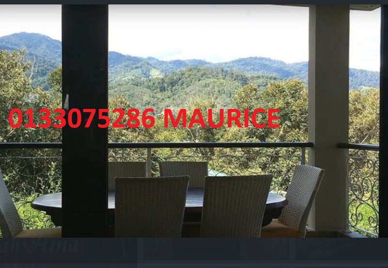 Bungalow with 48 acre land ,One-of-a-Kind Limited Edition: A Remarkable Freehold 48-Acre Modern Orchard Resort Bungalow