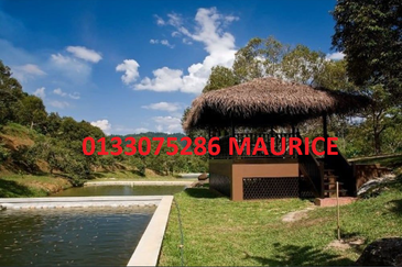 Bungalow with 48 acre land ,One-of-a-Kind Limited Edition: A Remarkable Freehold 48-Acre Modern Orchard Resort Bungalow