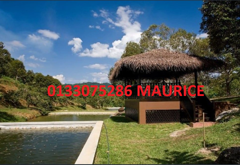 Bungalow with 48 acre land ,One-of-a-Kind Limited Edition: A Remarkable Freehold 48-Acre Modern Orchard Resort Bungalow