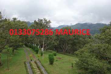 Bungalow with 48 acre land ,One-of-a-Kind Limited Edition: A Remarkable Freehold 48-Acre Modern Orchard Resort Bungalow