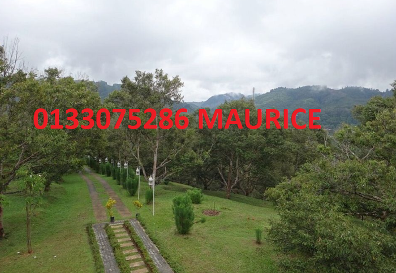 Bungalow with 48 acre land ,One-of-a-Kind Limited Edition: A Remarkable Freehold 48-Acre Modern Orchard Resort Bungalow