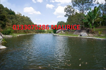 Bungalow with 48 acre land ,One-of-a-Kind Limited Edition: A Remarkable Freehold 48-Acre Modern Orchard Resort Bungalow