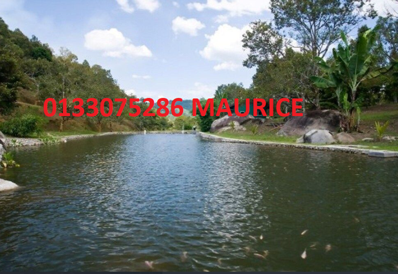 Bungalow with 48 acre land ,One-of-a-Kind Limited Edition: A Remarkable Freehold 48-Acre Modern Orchard Resort Bungalow