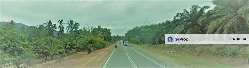 Palm Oil Plantation for SALE, Bandar Sri Jempol, Negeri Sembilan, Negeri Sembilan, Jempol