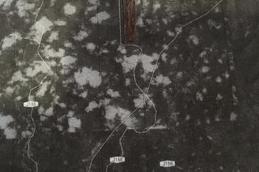 Segamat Palm Oil Plantation for Sale