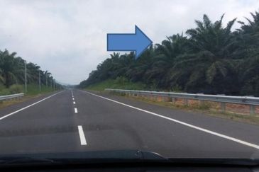 Segamat Palm Oil Plantation for Sale