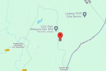 Segamat Palm Oil Plantation for Sale