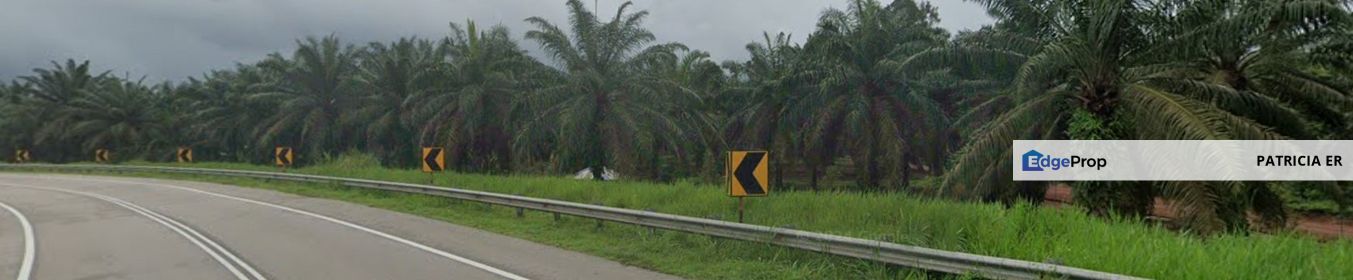 Segamat Palm Oil Plantation for Sale, Johor, Segamat