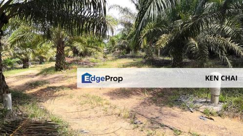 5 acres agricultural land, Johor, Kota Tinggi