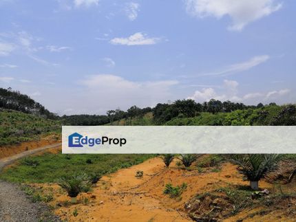 10 acres agricultural land, Johor, Kota Tinggi