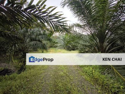 10 acres agricultural land, Johor, Kota Tinggi