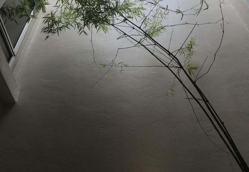 USJ Tanamera Subang Jaya 2 Storey Terrace Superlink For Sale