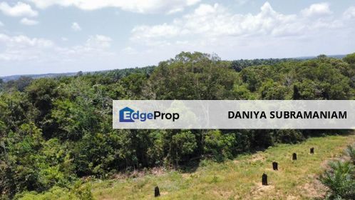 Kota Tinggi Johor Agriculture Land For Sale, Johor, Ulu Tiram